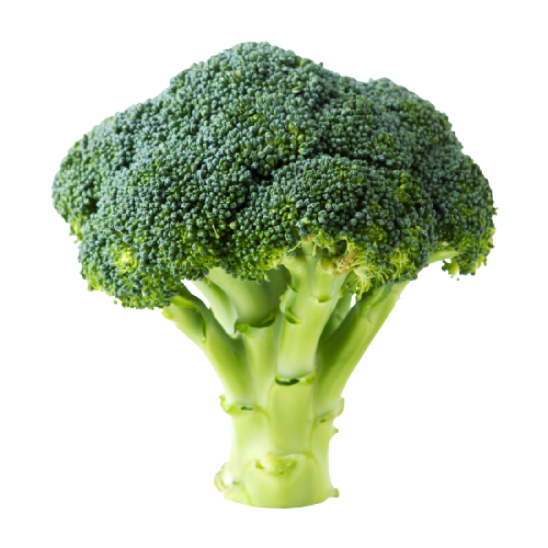 Broccoli