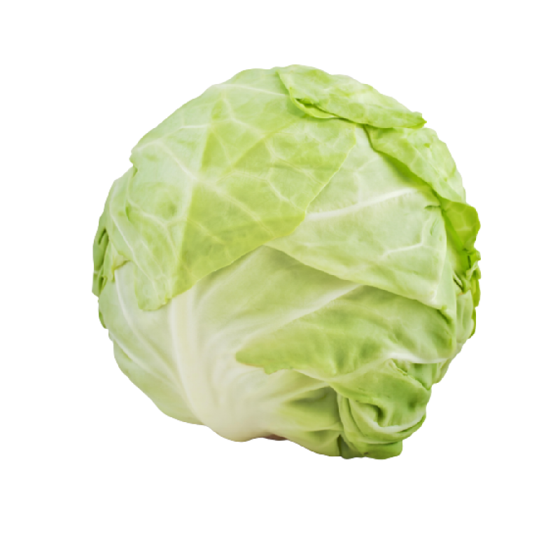 Green Cabbage