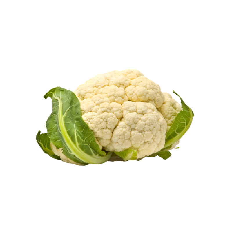 Organic Head of Cauliflower