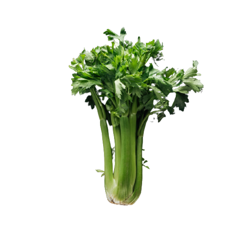 Celery