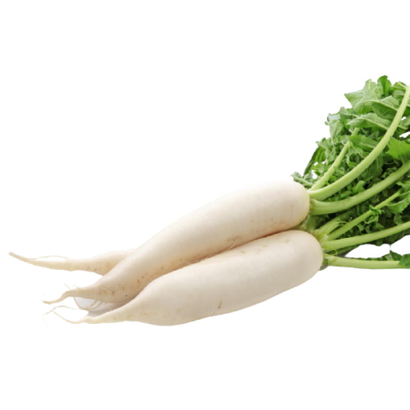 Daikon