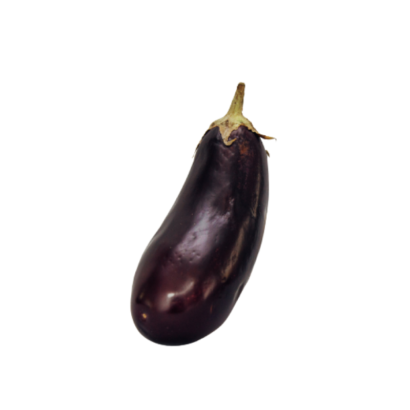 Eggplant