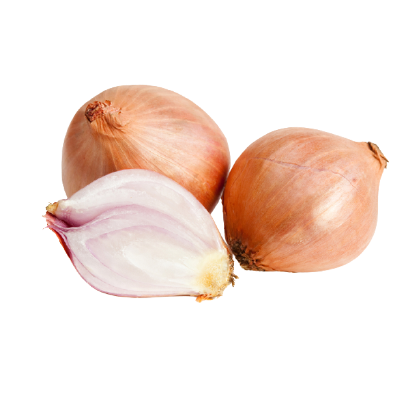 Shallot