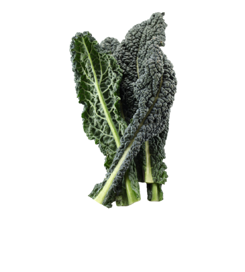 Lacinato Kale