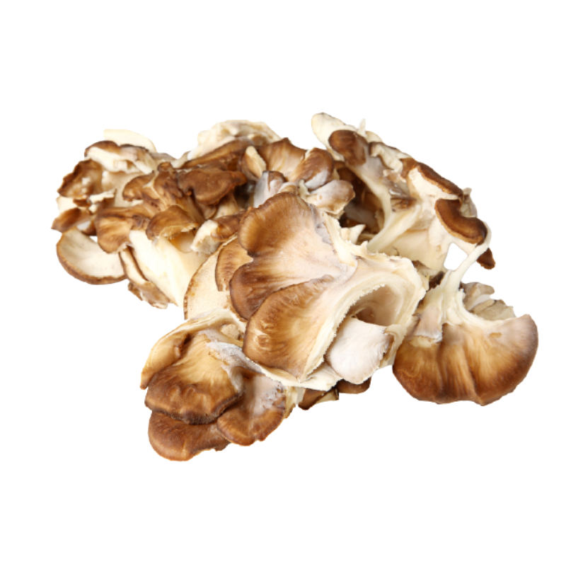 Maitake Mushroom