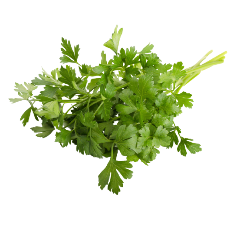 Italian Parsley