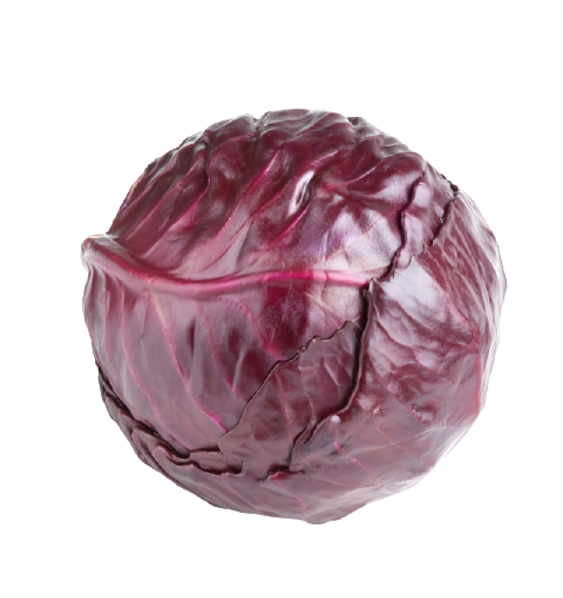 Red Cabbage