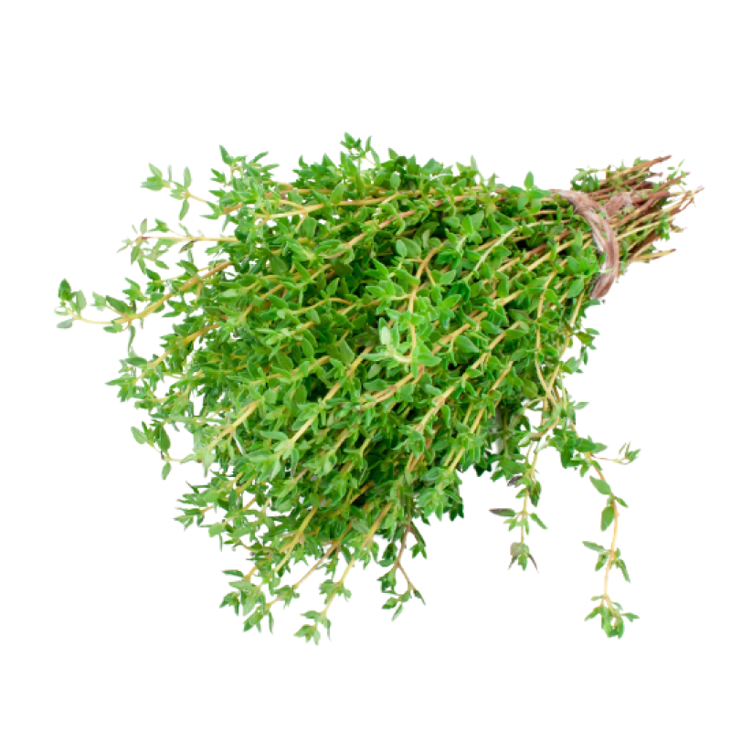 Fresh Thyme